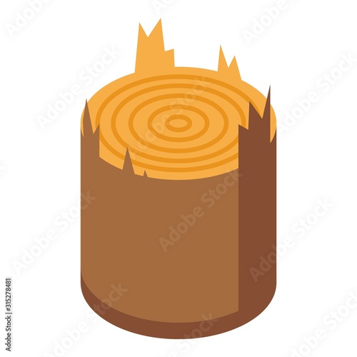 Tree stub icon. Isometric of tree stub vector icon for web design isolated on white background