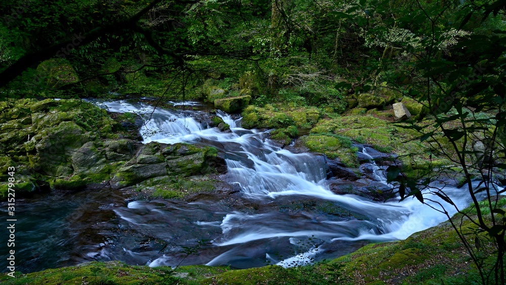 Obraz premium 初秋の菊池渓谷の情景＠熊本