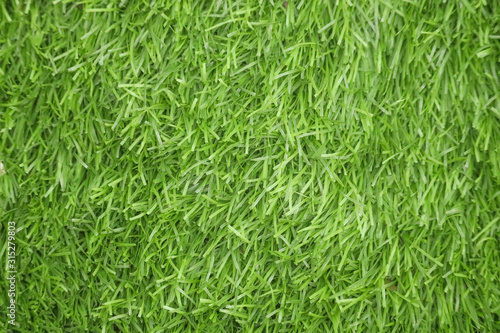 Green Grass Pattern Design Texture For Background
