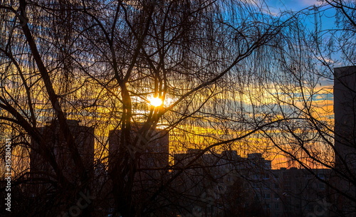 Wallpaper Mural Morning in Vilnius Torontodigital.ca