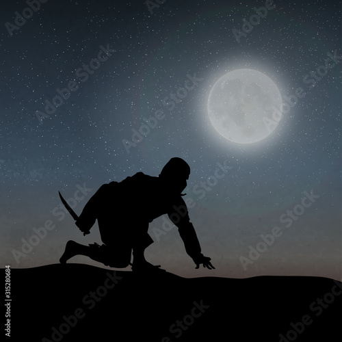 A Japanese Ninja Under The Moonlight