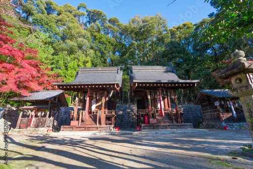 京都　石座神社（いわくらじんじゃ）の紅葉 photo