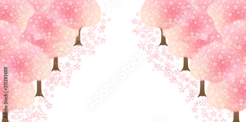 桜　春　花　背景