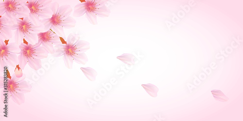 桜　春　花　背景