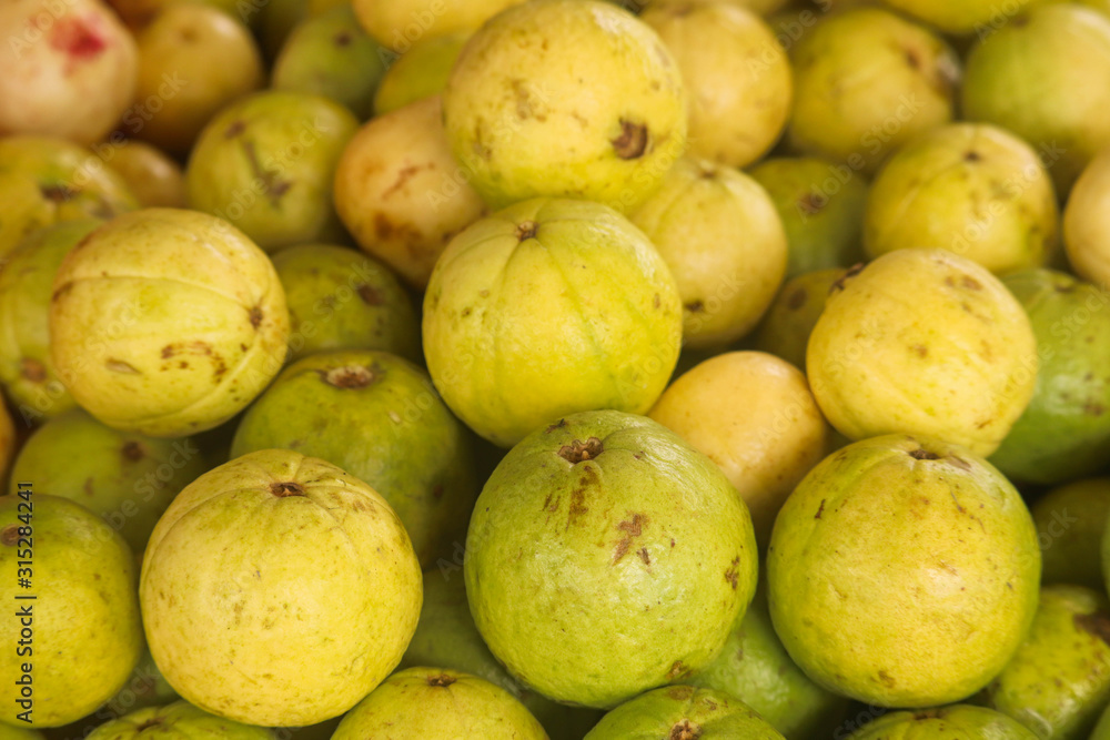 Yellow Green Variety Of Diversified Stack Group Of Healthy Sweet Garden Fresh Guava Yellow Green Variety Of Diversified Stack Group Of Healthy Sweet Garden Fresh Guava