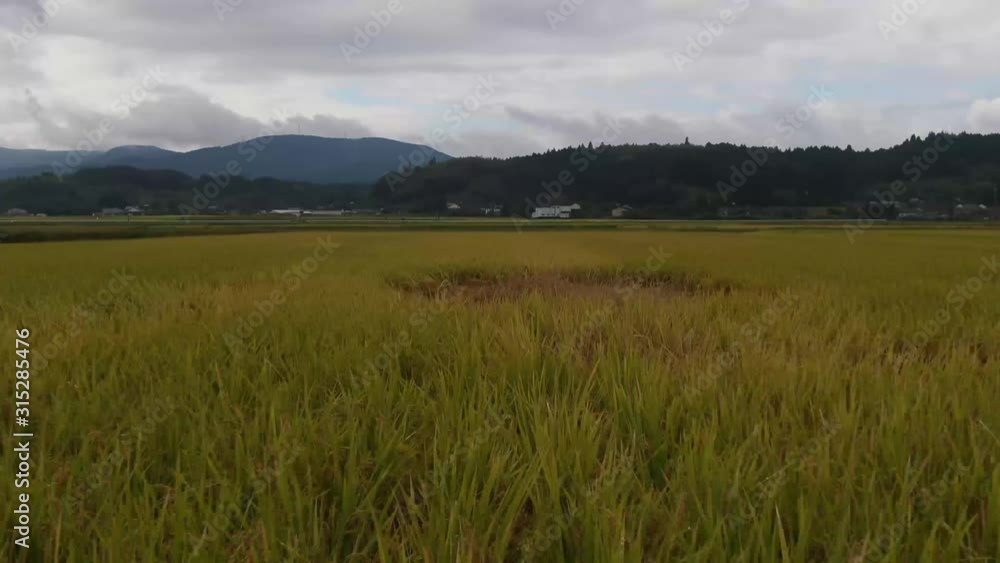 Takeoff From Japanese Rice Fields Revealing Mountains Takeoff From Japanese Rice Fields Revealing Mountains
