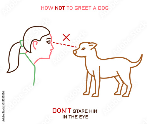 Dog behavior icon