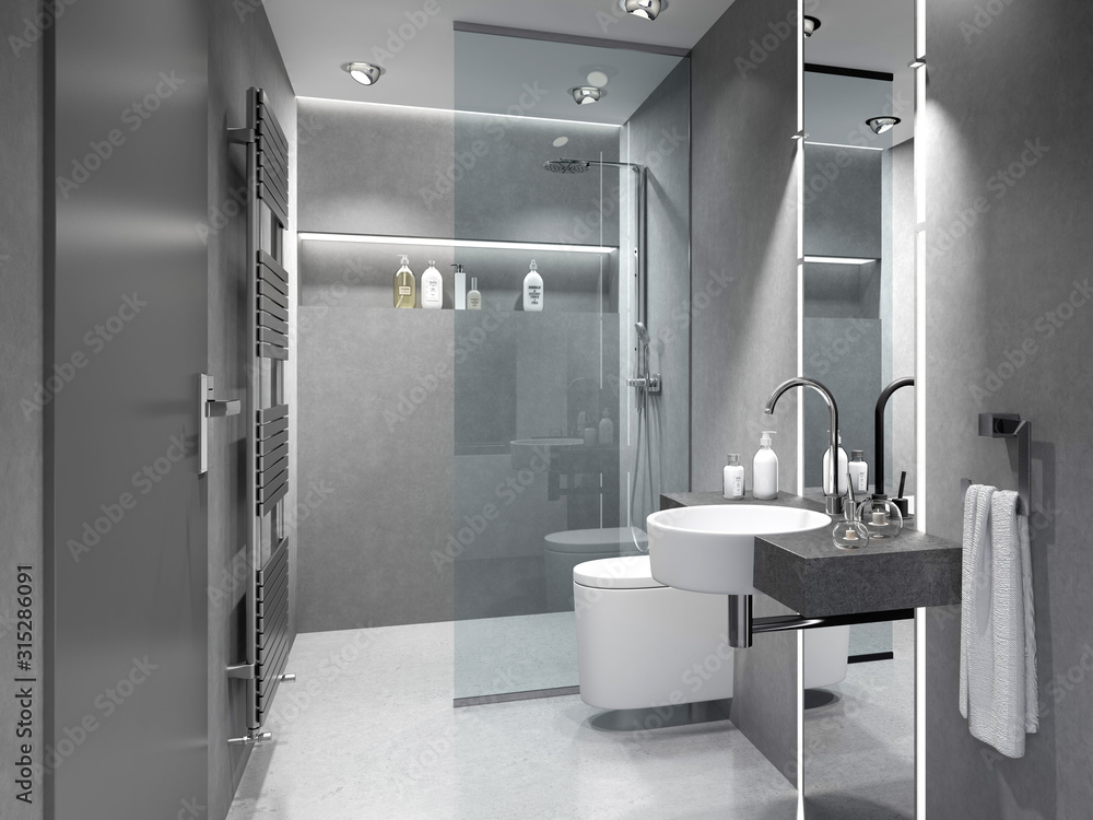 Kleines Duschbad, Badezimmer, Bad mit Dusche und WC. Иллюстрация Stock |  Adobe Stock