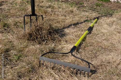 Fotografia Raking leaves using rake