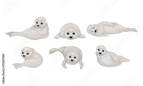 White Playful Fur Seal Lying and Rolling Vector Illustrations Set