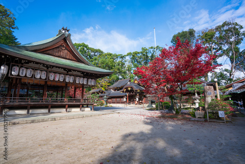 京都 今宮神社の紅葉 