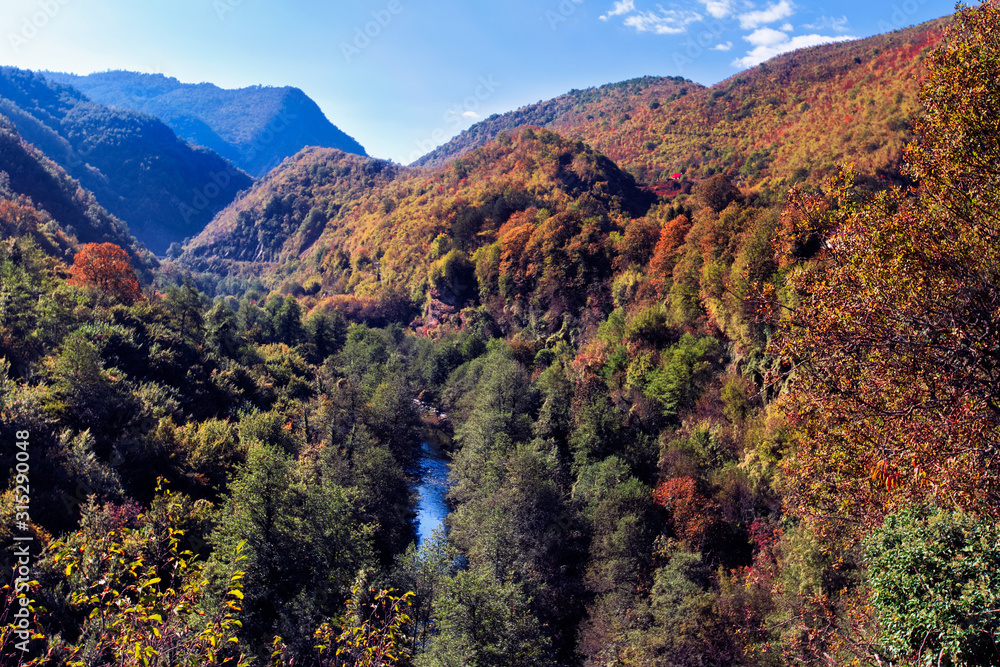 Autumn landscape with mountain river, red orange green trees,blue mountains, blue skybackground.Montenegro mountains.