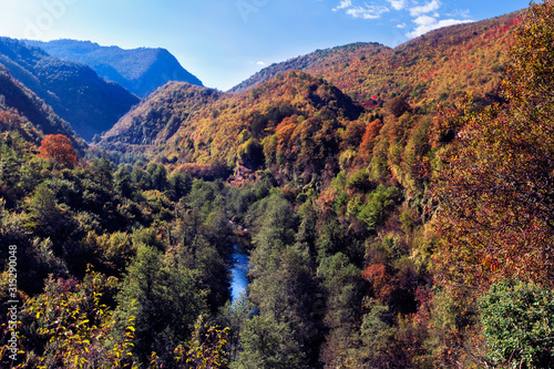 Autumn landscape with mountain river, red orange green trees,blue mountains, blue skybackground.Montenegro mountains.