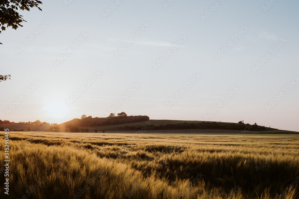 Fototapeta premium Sunset