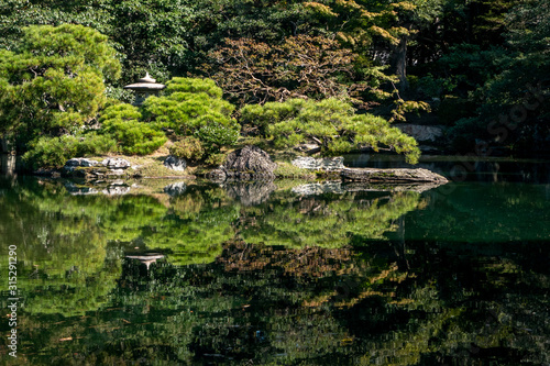 Natural green trees in a Japanese garden