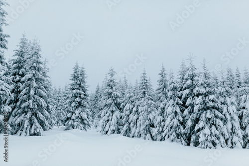 Snow Landscape © Ben