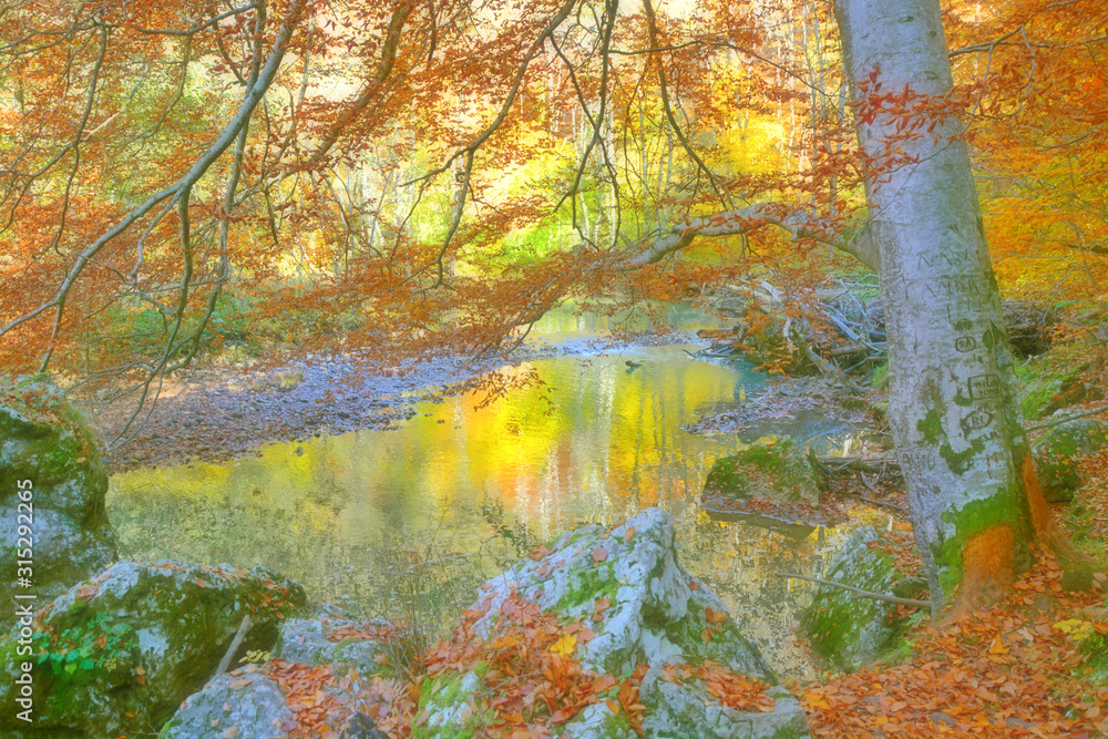 Autumn colored creek side trees Autumn colored creek side trees