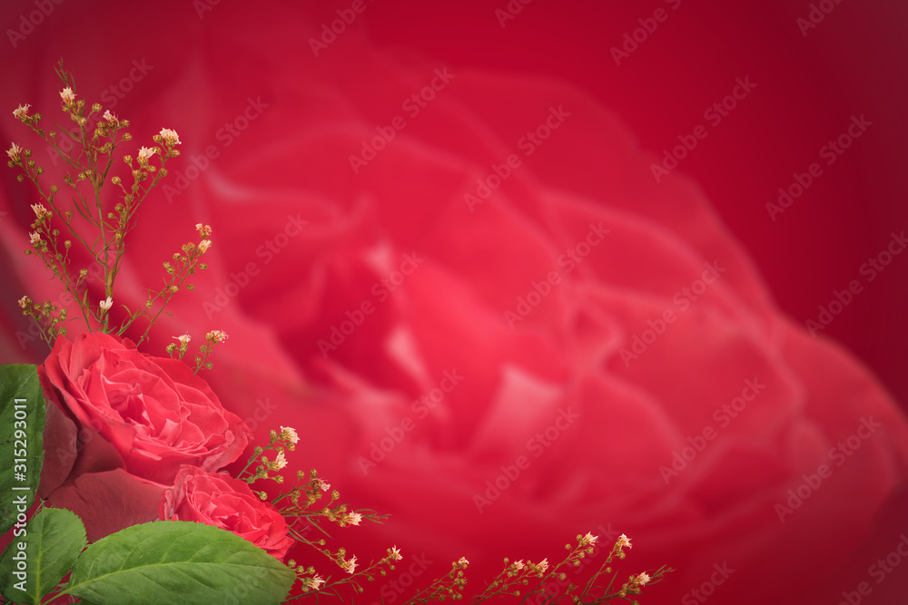 Red roses on a red background