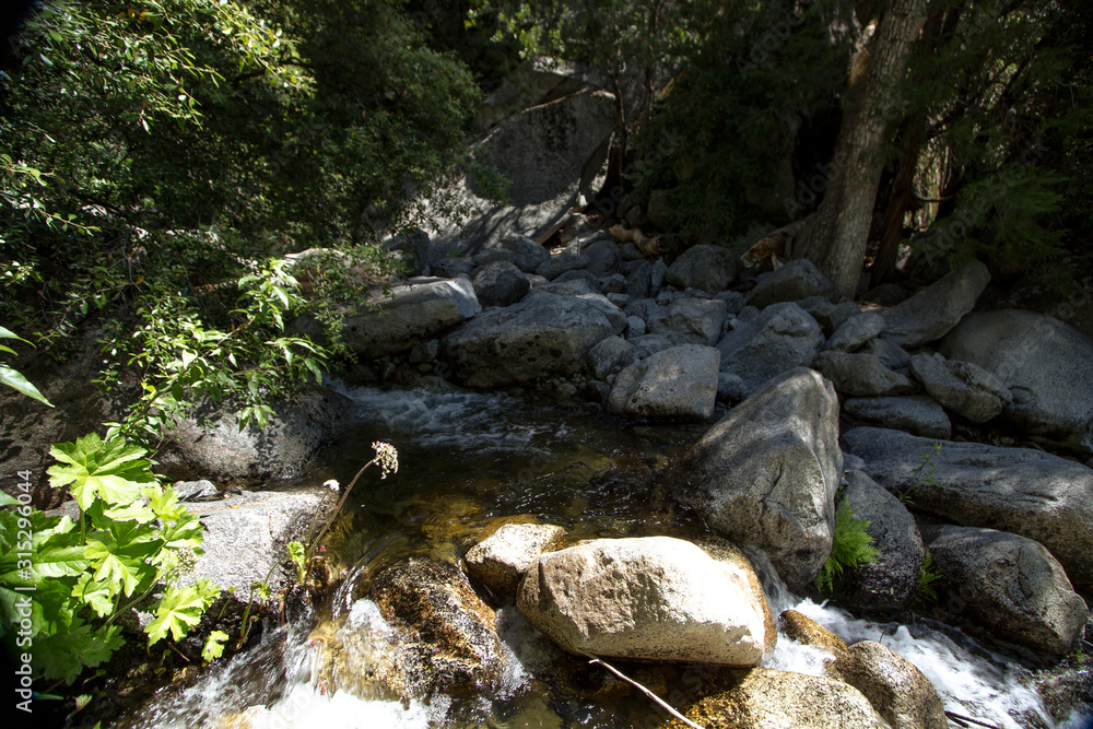 Yosemite National Park Creeks and Streams Yosemite National Park Creeks and Streams