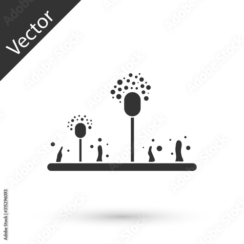 Grey Mold icon isolated on white background. Vector Illustration