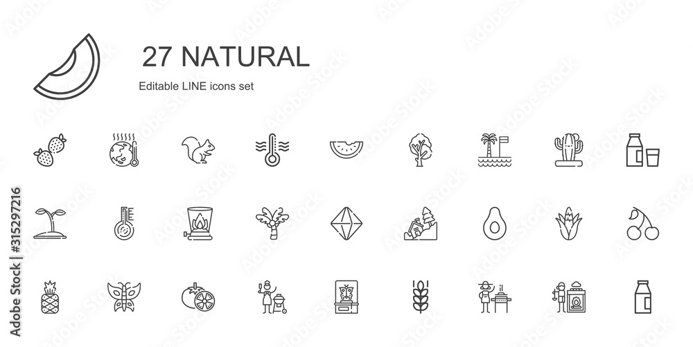 natural icons set
