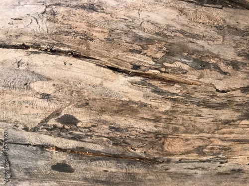 Texture of an old dried tree with cracks and bark of pine needles. Image of сloseup a wooden texture with traces of time and processing.