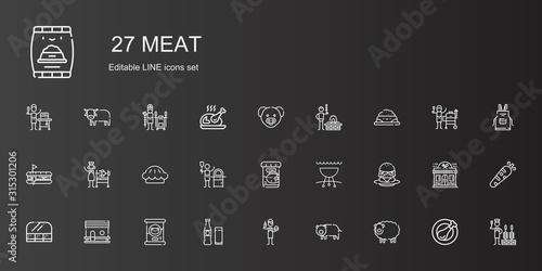 meat icons set