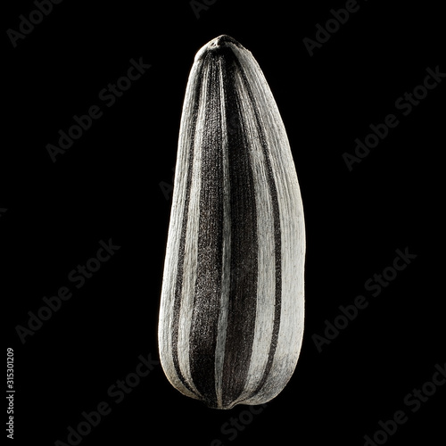 Macro shot of sunflower's seed on isolated black background, close-up. Copyspace for ad. Concept of nature, organic, food, cooking, nutrition, dimensional imagion of usual things and ingredients. photo