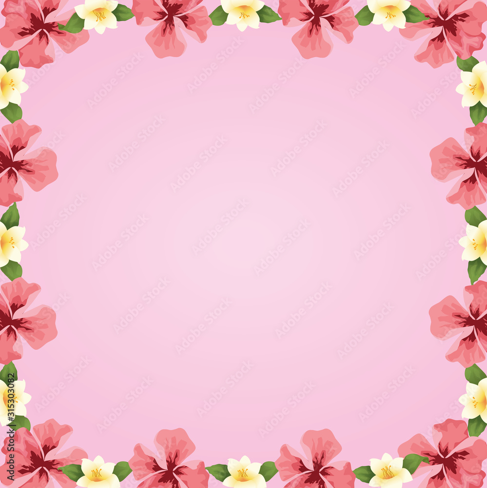 summer time pink background tropical hibiscus flowers frame