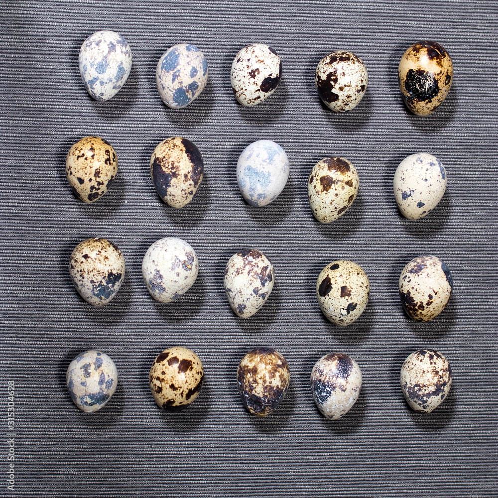 Quail eggs pattern on grey background, Quail eggs pattern on grey background,