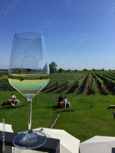 Germany/Neustadt vineyards against a glass of wine