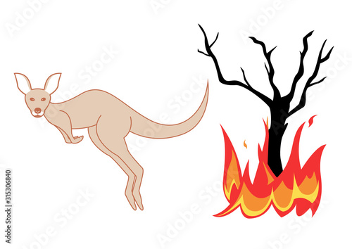 Incendie - kangourou en fuite