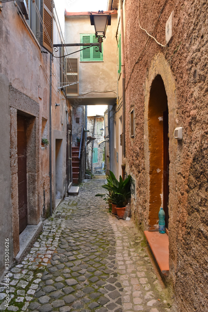 Guarcino, Italy, 01/03/2020. An alley between the old houses of a medieval village.