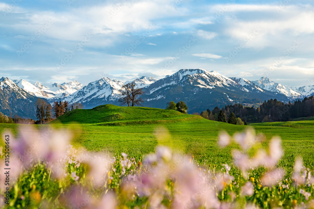Allgäu - Panorama - Frühling - Oberstdorf - Berge - Blumen