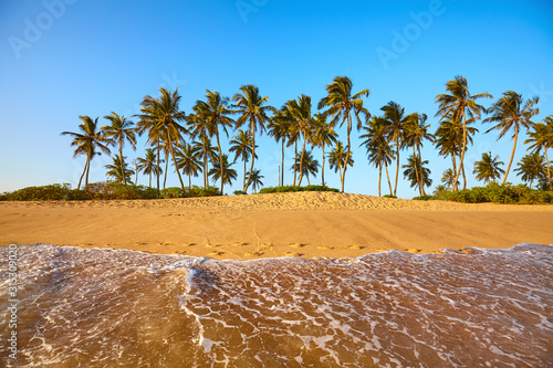 Tropical beach with coconut palm trees at sunset, Sri Lanka.