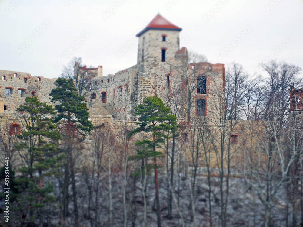 castle in poland diorama
