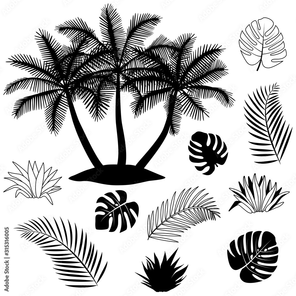 Black and white silhouette of tropical forest.  Contor. Isolated set. Vector illustration. Palm, fern, coco, monstera, foliage, plant, jungle.