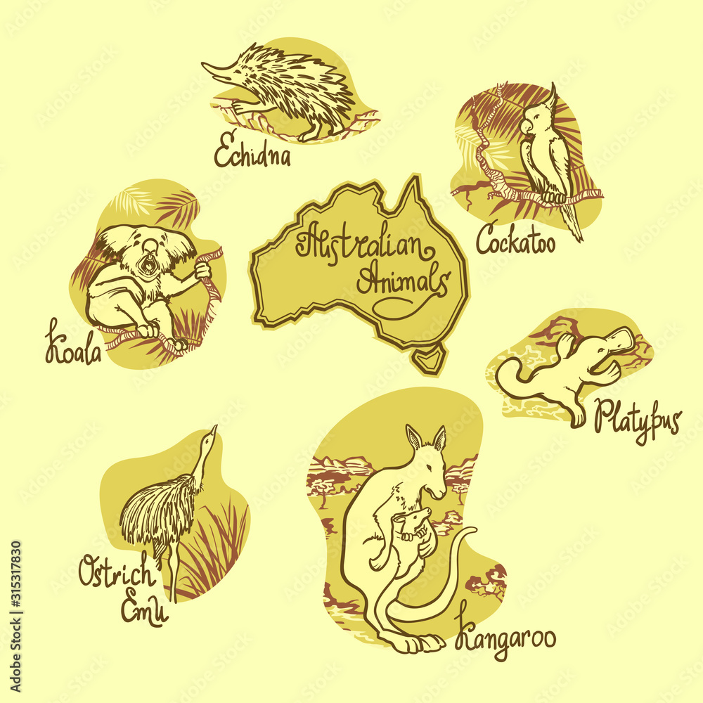 A multi-colored set of unique Australian fauna, Koala, Kangaroo ...
