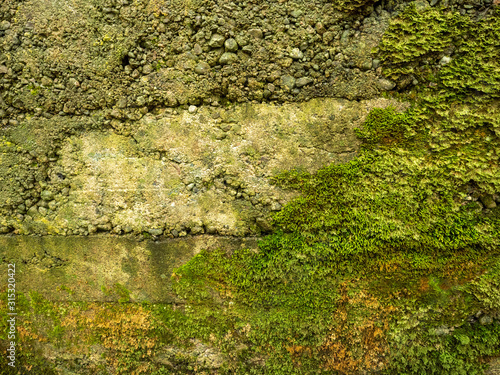 Old stone wall covered with moss, Abstract nature background.