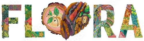 FLORA wjth doodle heart with tree bark texture and young shoots