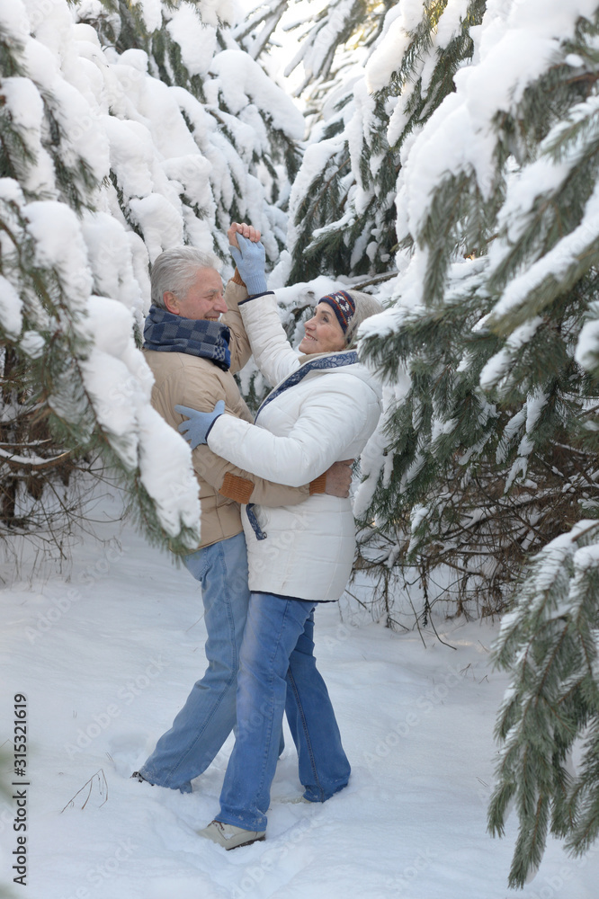 Happy senior couple dancing at snowy winter park