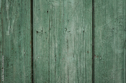 Old wood texture background. Green natural boards in vintage style for backdrop wall.