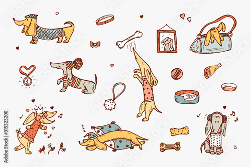 Animals. Pets. Funny Dachshund Dogs. Dog Vector Set. Hand Drawn Doodles Dachshunds.