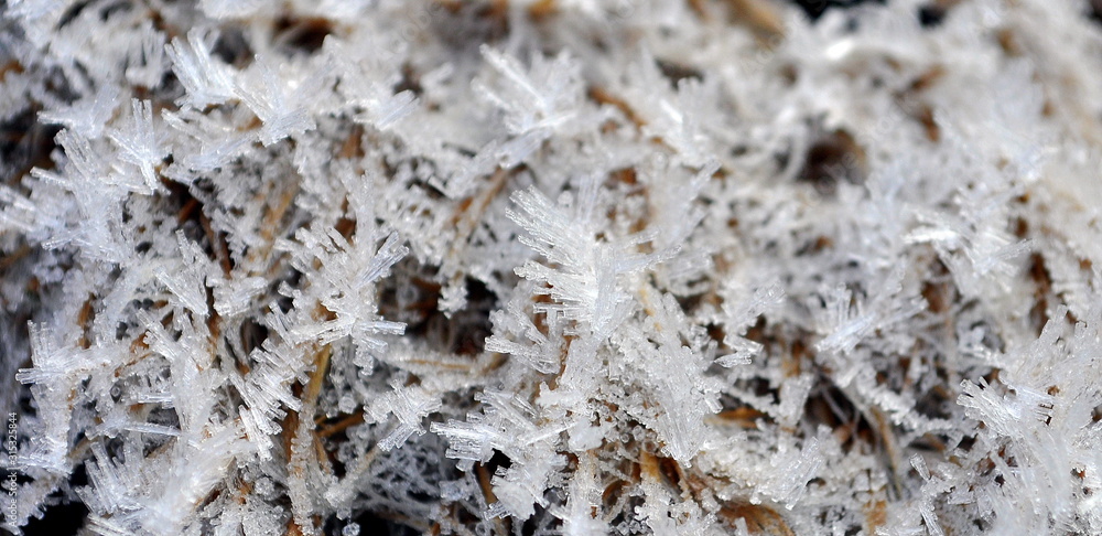 Hoar frost on the dry grass in the morning. Hoar frost on the dry grass in the morning.