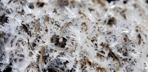 Hoar frost on the dry grass in the morning.
