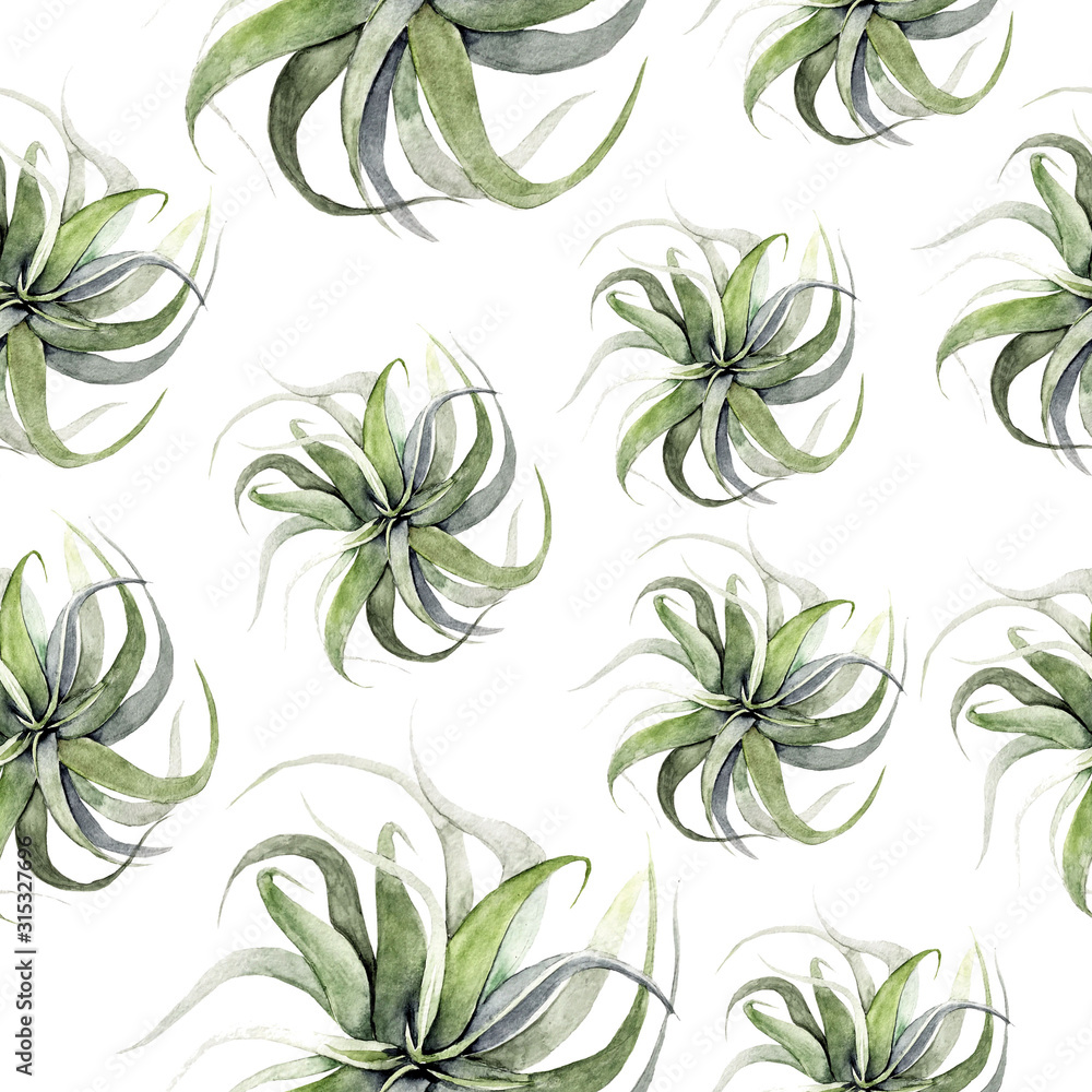 Print summer exotic jungle plant tropical palm leaves. Pattern, seamless floral on the black white geometric background. Nature wallpaper.