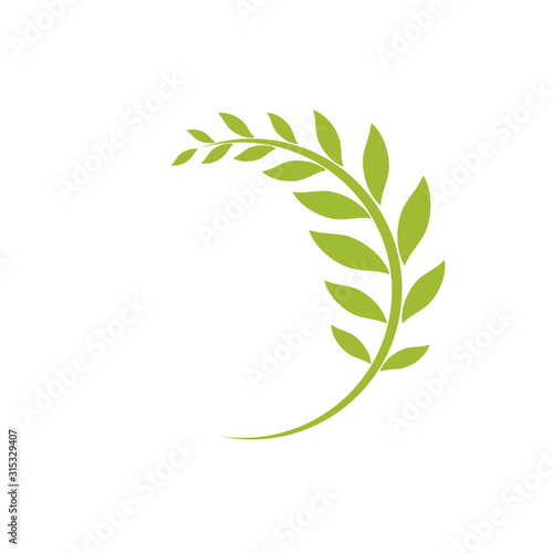 Green curved twig isolated on white.
