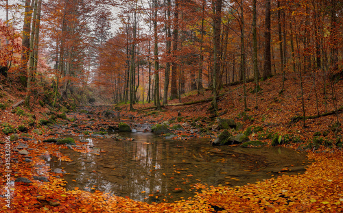 Fototapeta Naklejka Na Ścianę i Meble -  Jesień w Bieszczadach