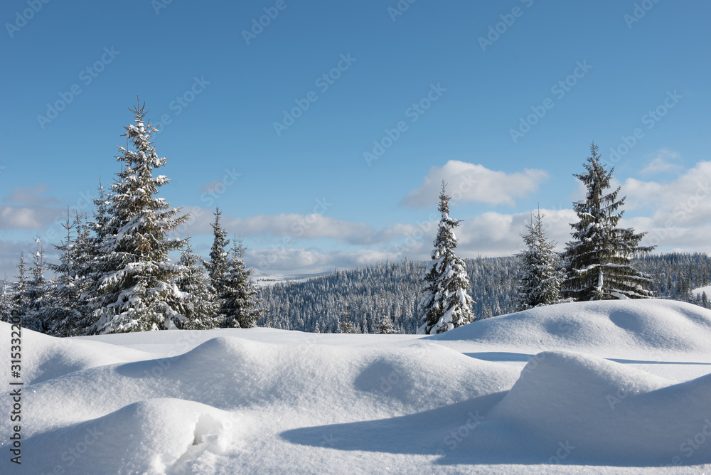 Alpine landscape with snow covered mountains and pine forest