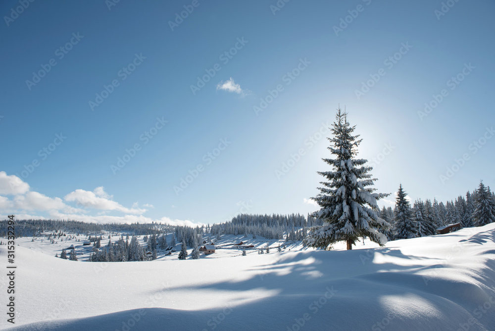 Alpine landscape with snow covered mountains and pine forest Alpine landscape with snow covered mountains and pine forest
